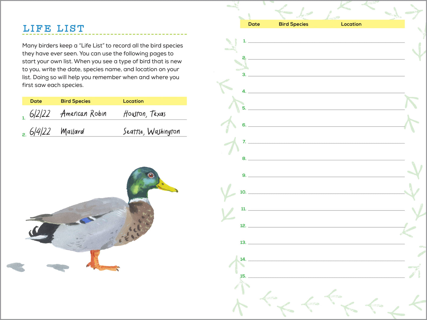 Bird Watching Book for Kids