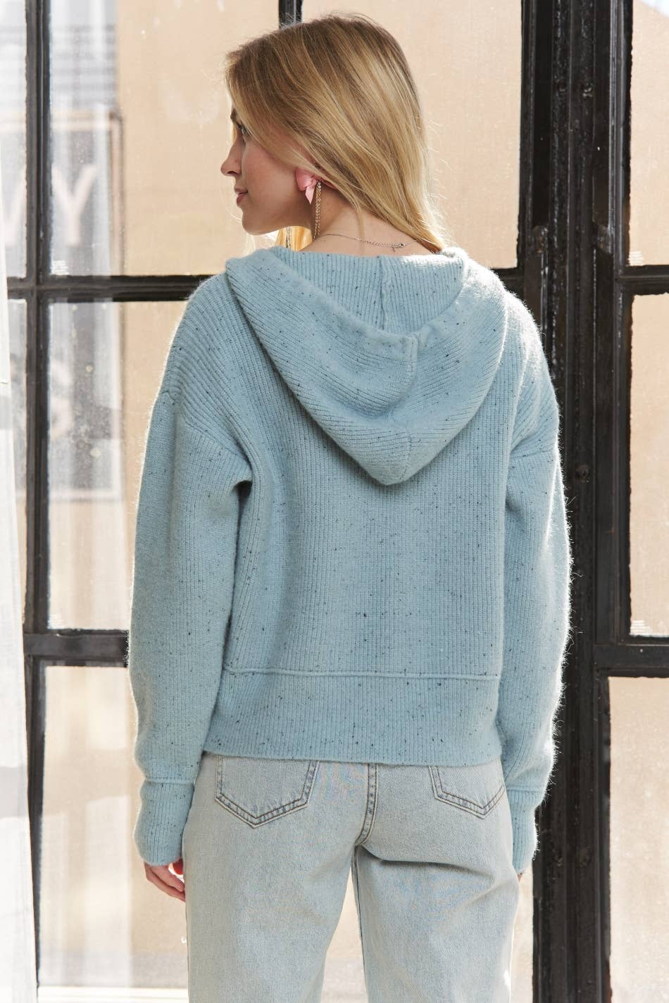 Button Up Hoodie Sweater - Blue