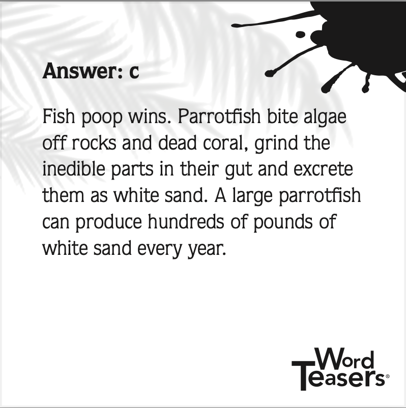 Word Teasers | American Beach Trivia