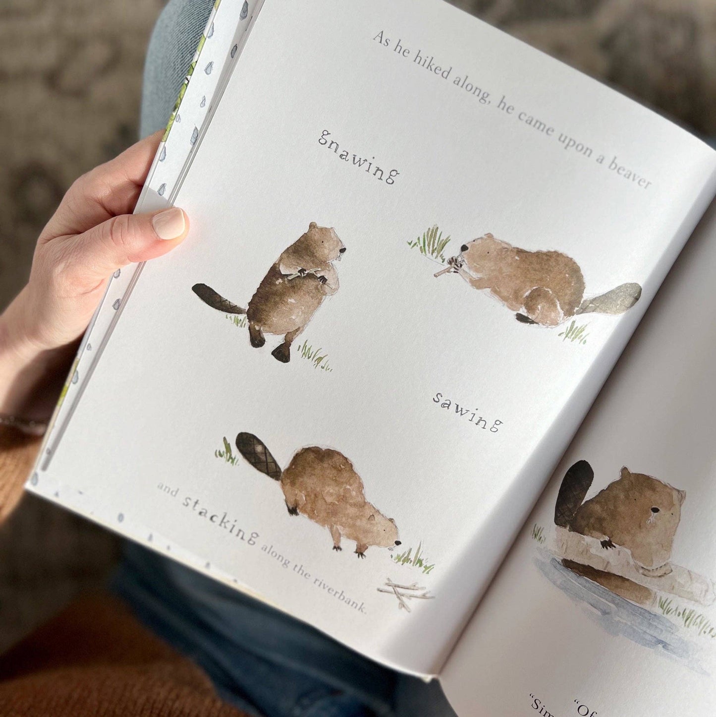 Build Book | Emily Lex