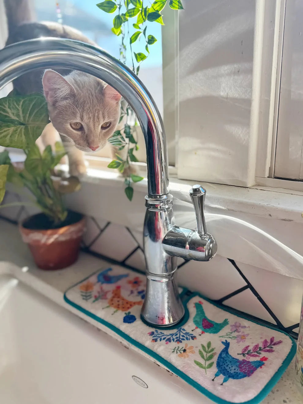 Reversible Faucet Sink Mat | Chickens