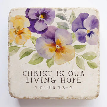 Small Block | 1 Peter 1:3-4