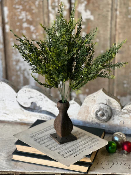 Clifton Hills Cedar Bush