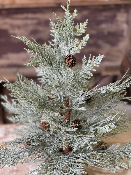 Exalted Evergreen Trees