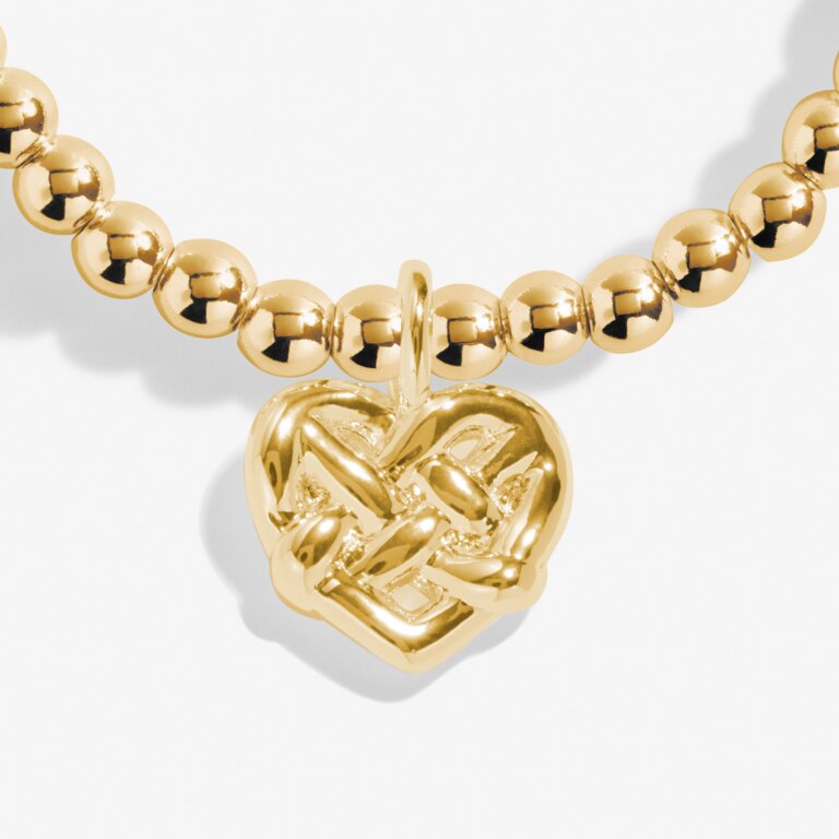 A Little ‘Friendship Is A Knot That Cannot Be Untied’ Bracelet