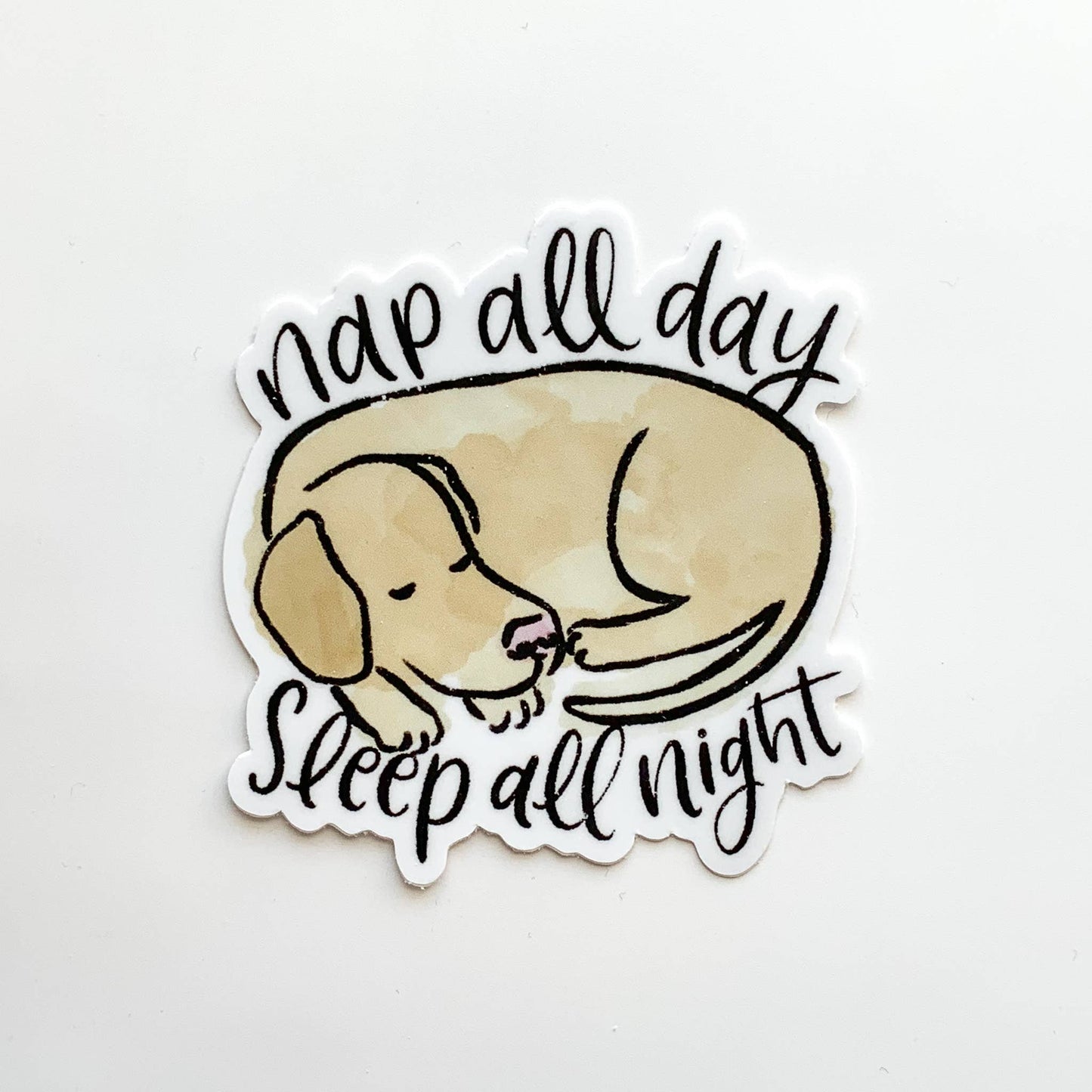 Sticker | Nap All Day