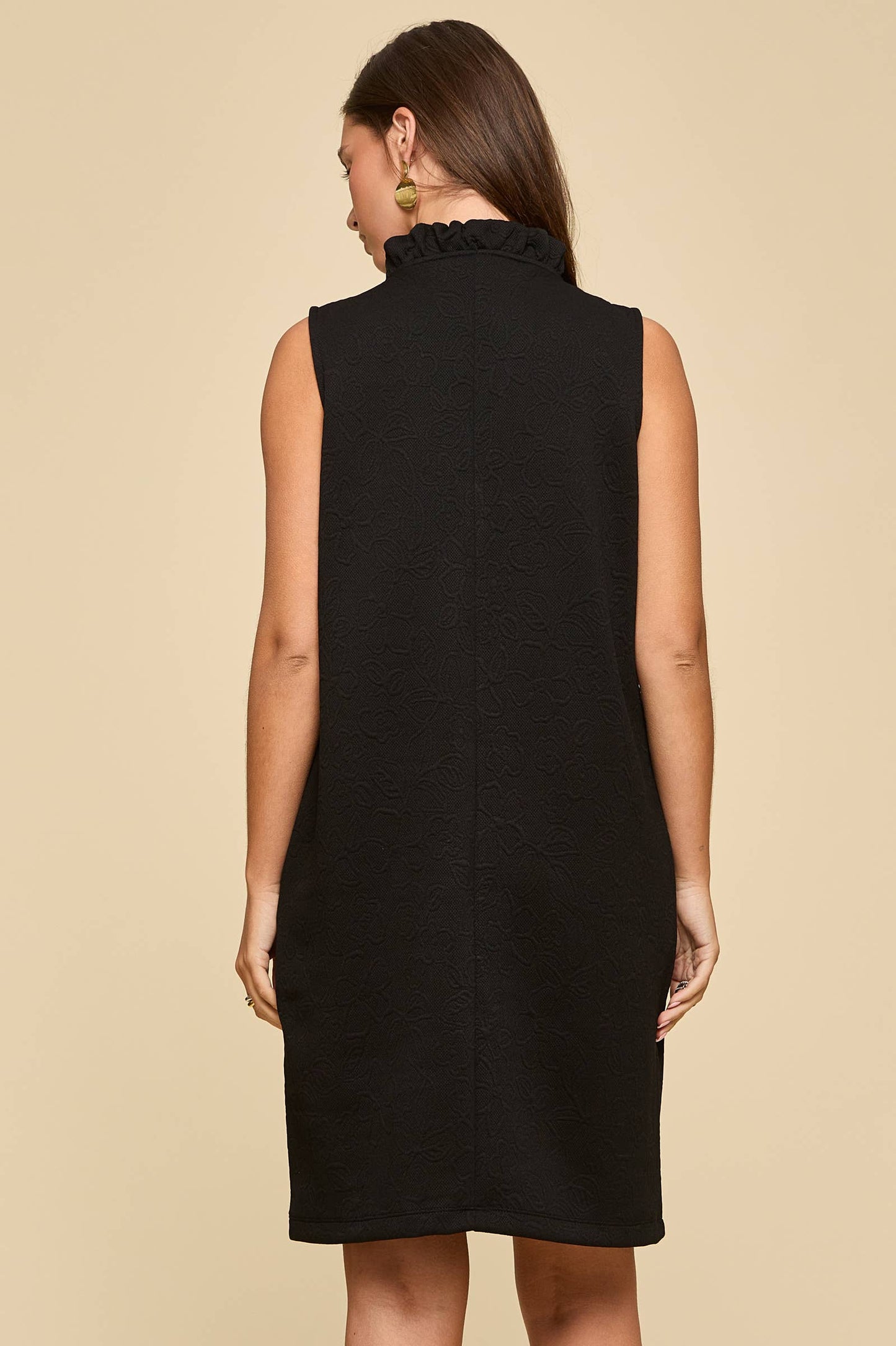 Ruffle Collar A-Line Dress