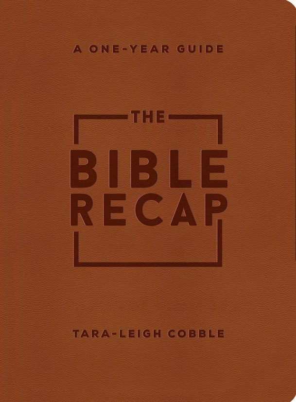 The Bible Recap Deluxe One Year Guide