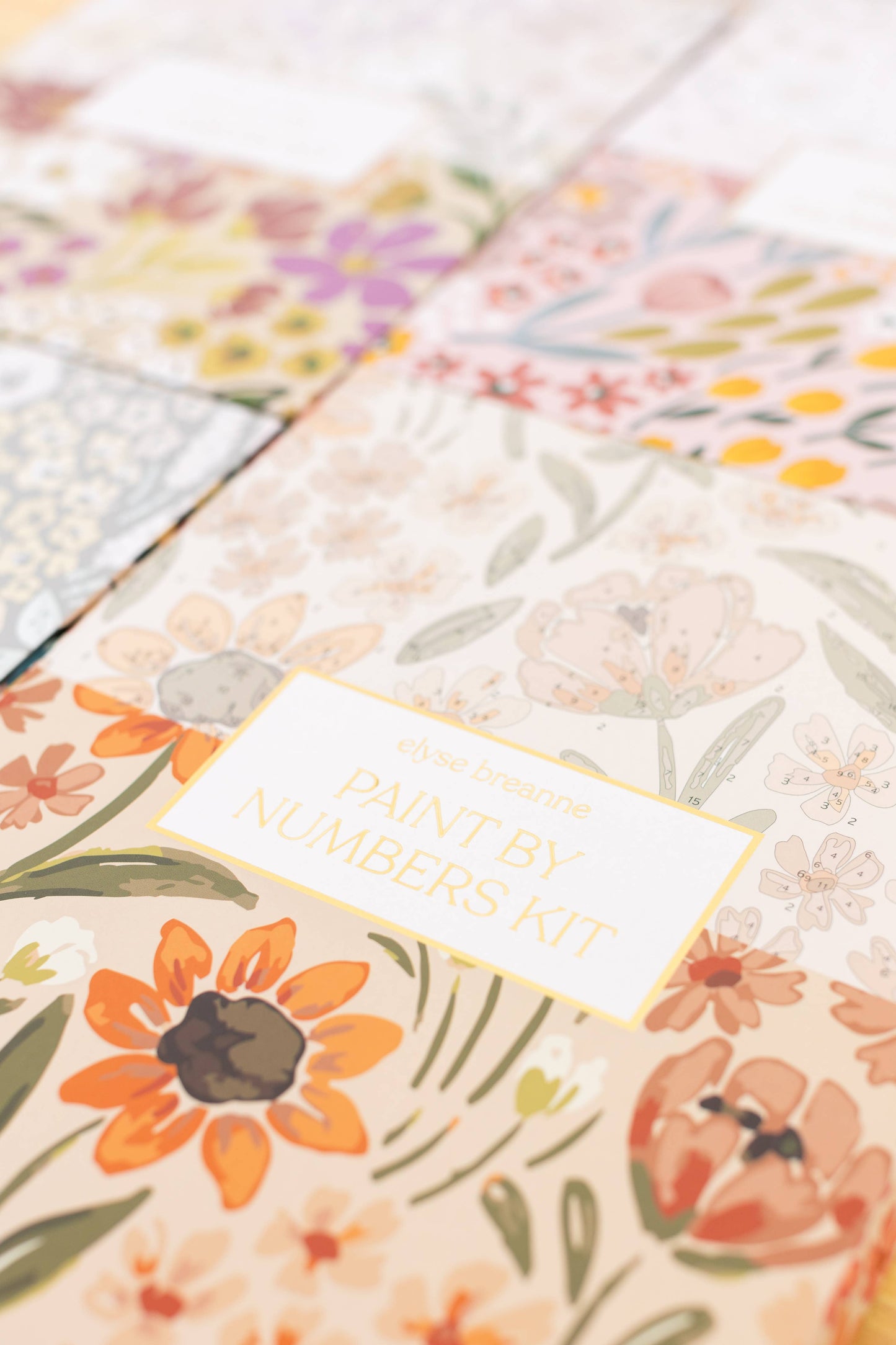 Paint By Number Kit | Sunny Poppies