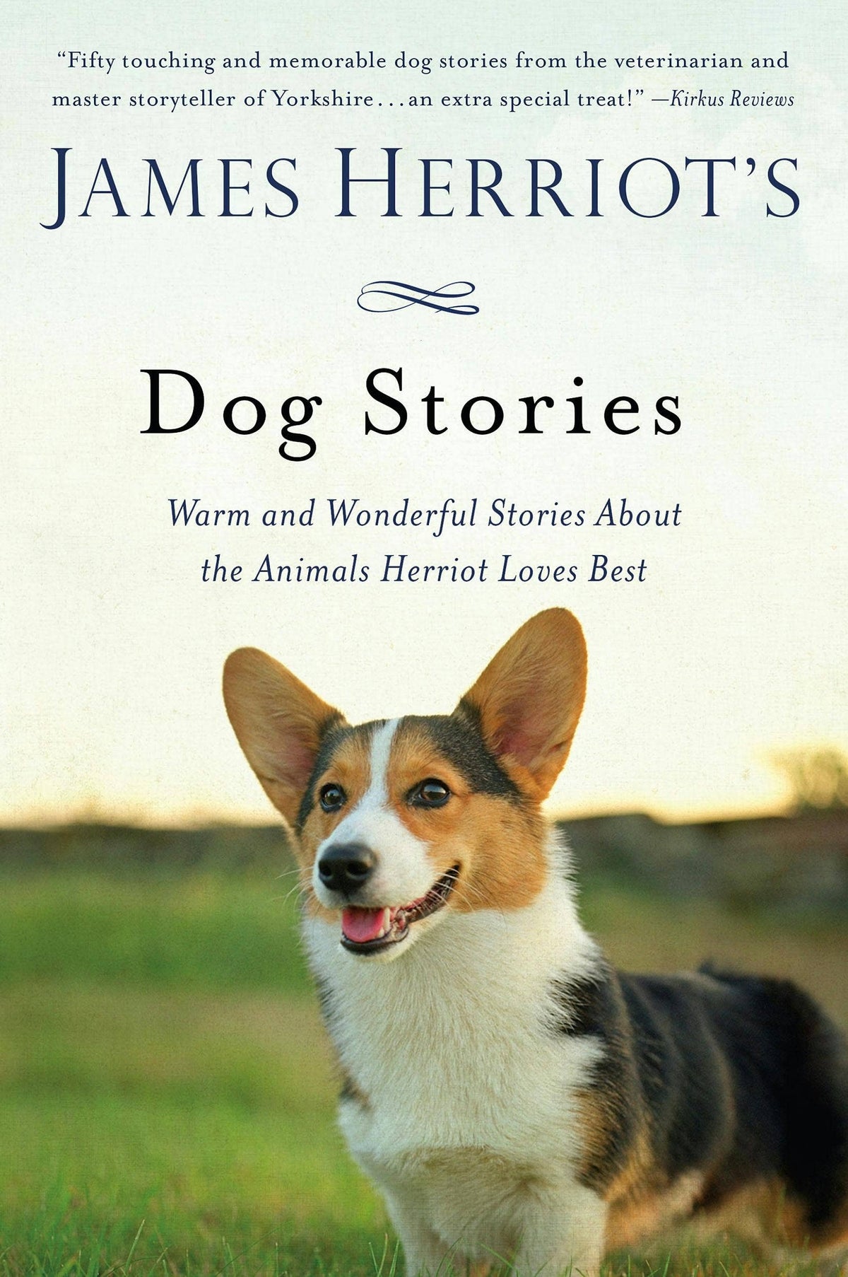 Dog Stories | James Herriot