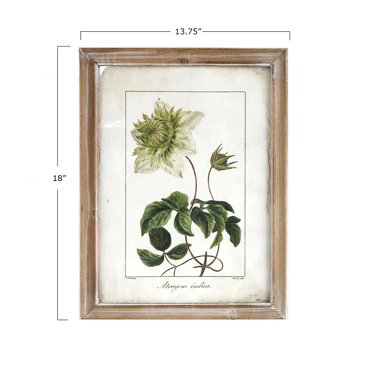 Framed Wall Decor with Floral Print