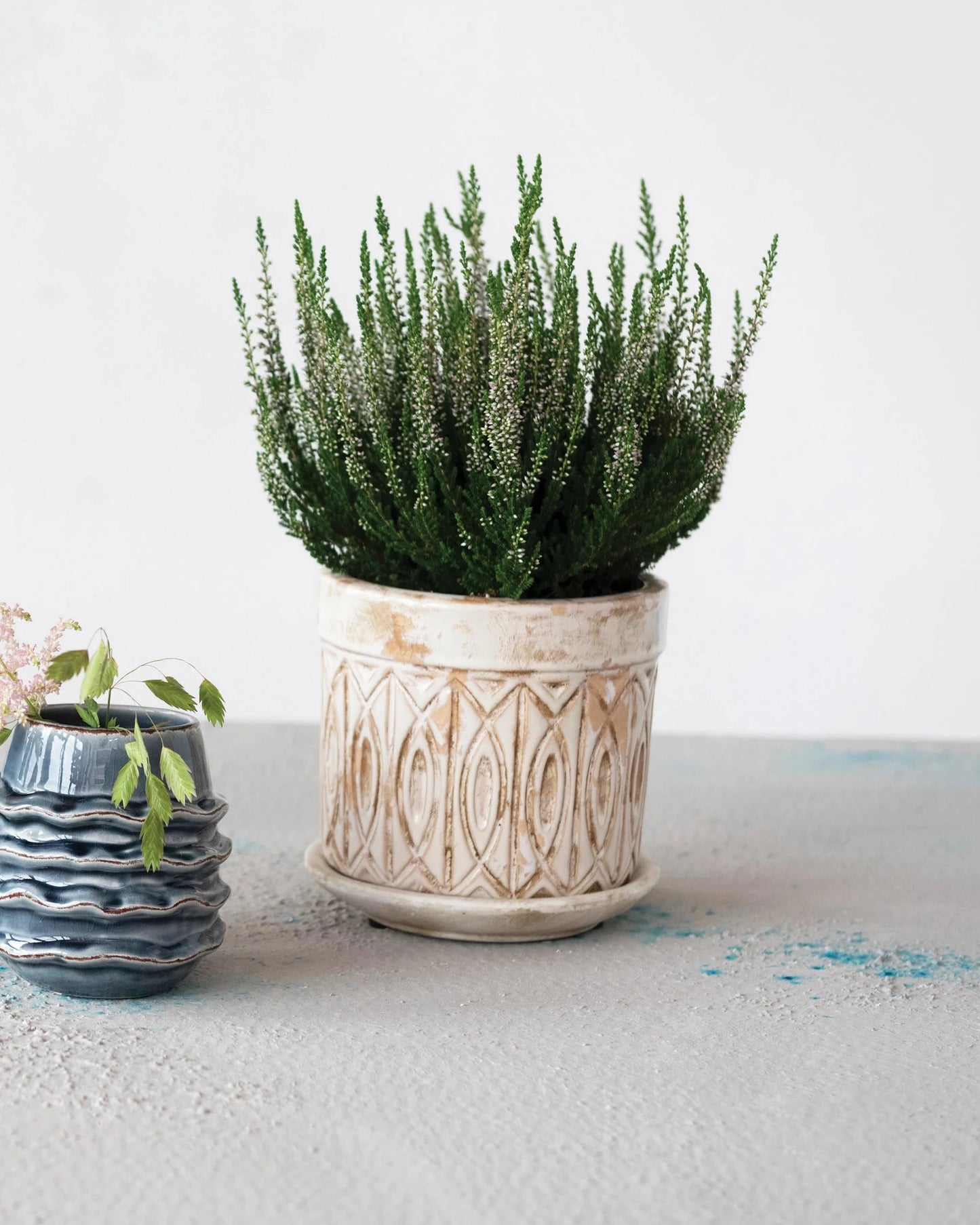 Debossed Terra Cotta Planter with Saucer