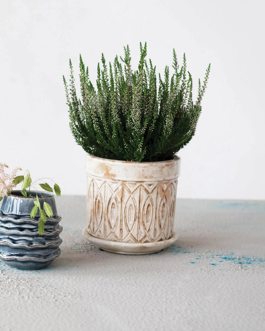 Debossed Terra Cotta Planter with Saucer