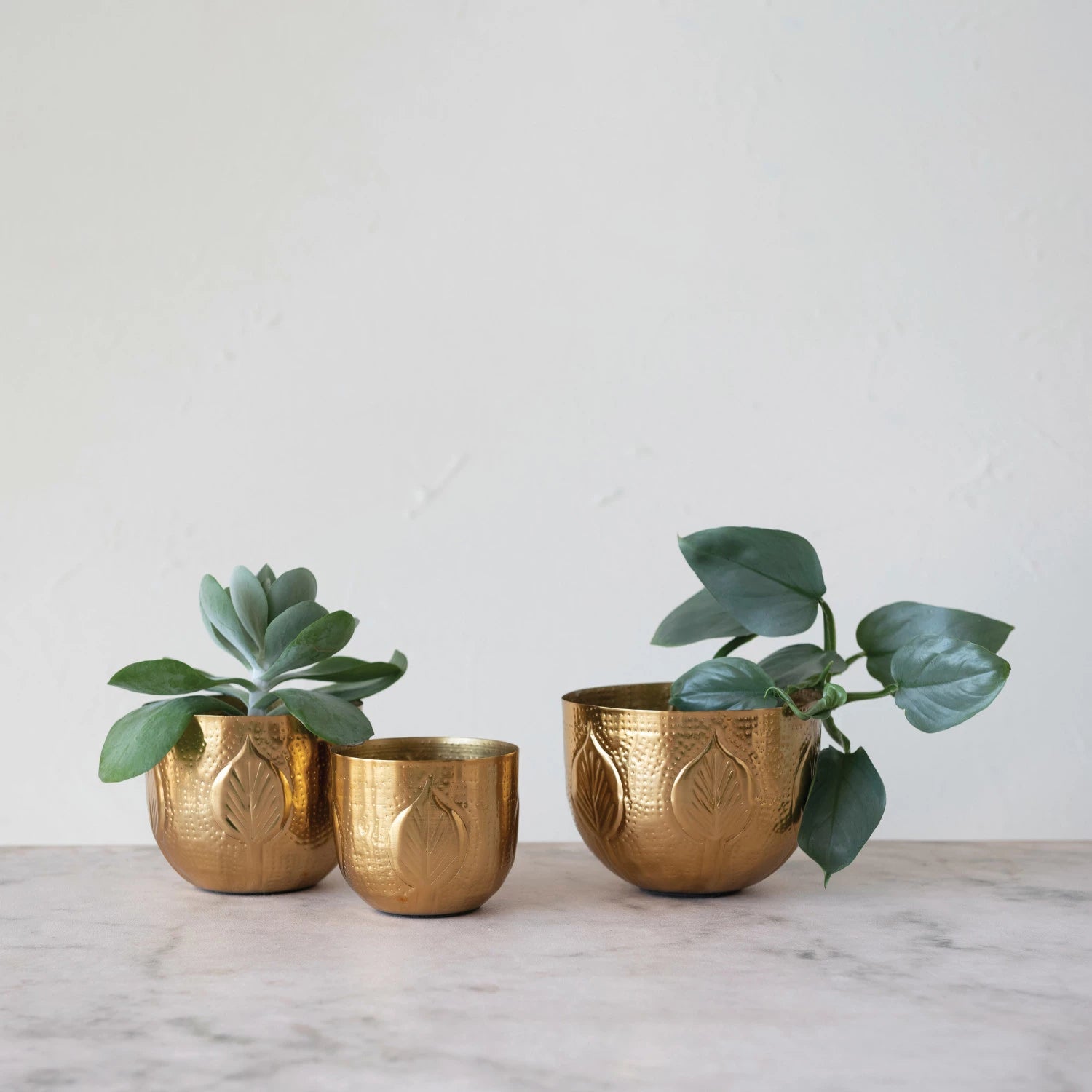 brass indoor plant pots Debossed Metal Planters Medium
