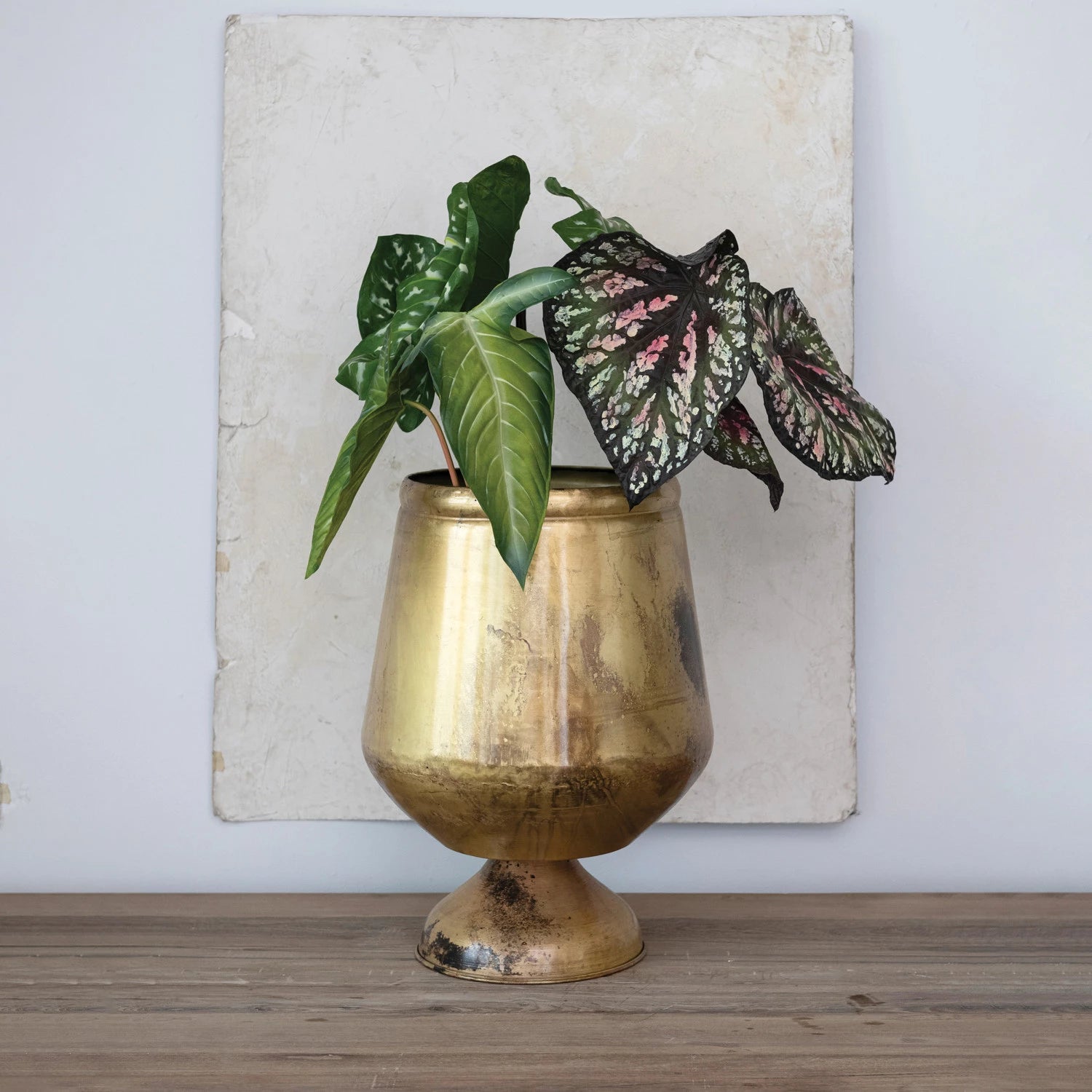 elephant ear faux plant Faux Elephant Ear Plant in Plastic Pot & Black