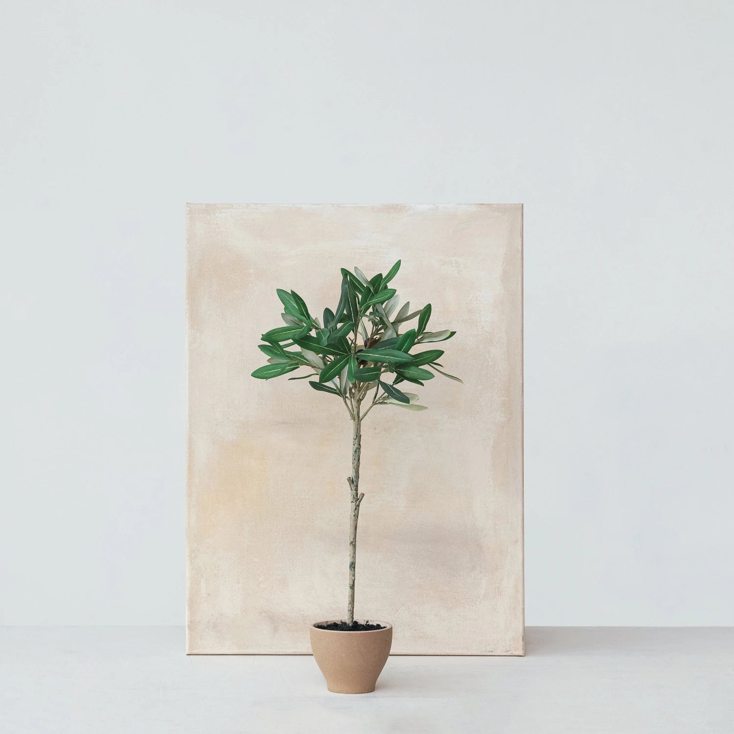 faux olive plant in pot Faux Olive Topiary Tree in Terra-cotta Pot