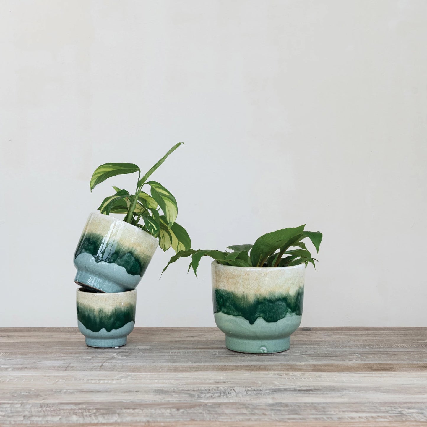 Terra-cotta Planters