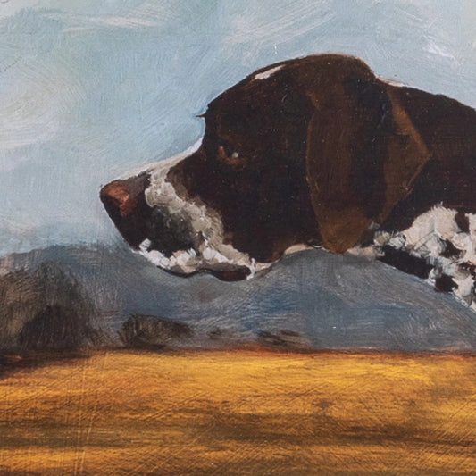 Framed Pointer Dog Wall Art