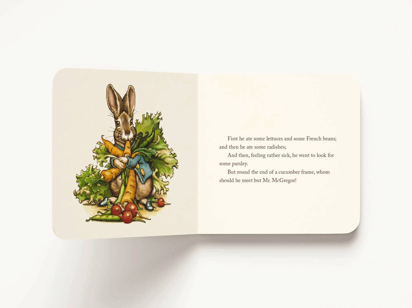 The Classic Tale of Peter Rabbit Plush Gift Set