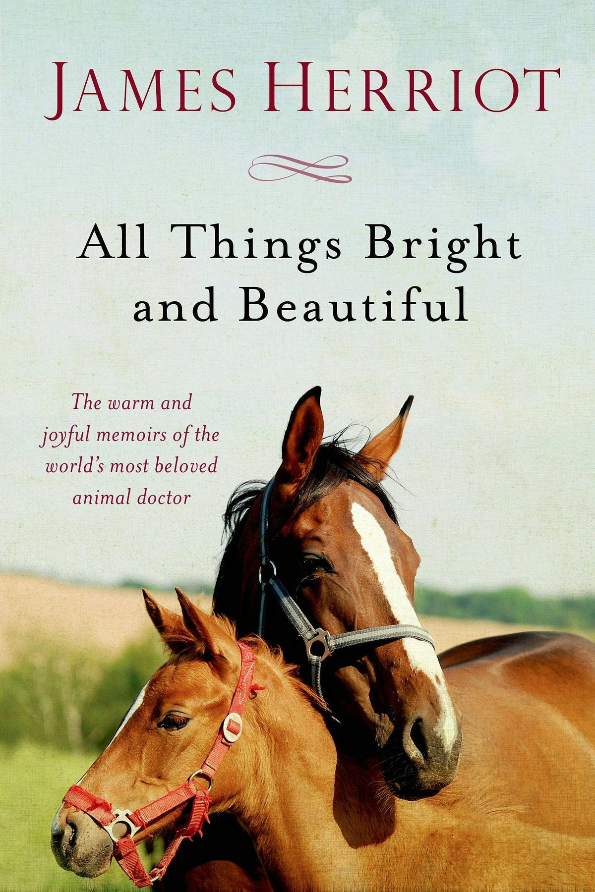All Things Bright & Beautiful | James Herriot