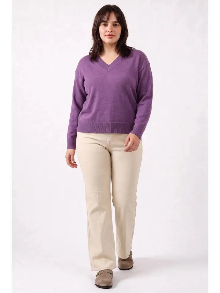 Plus Exclusive| V-Neck Sweater | Mocha
