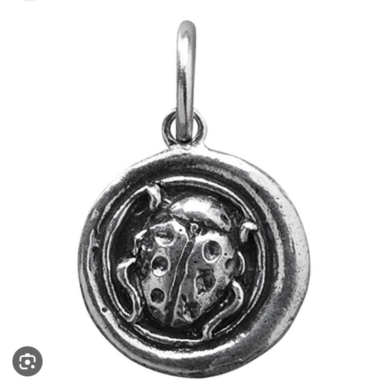 Ladybug Charm