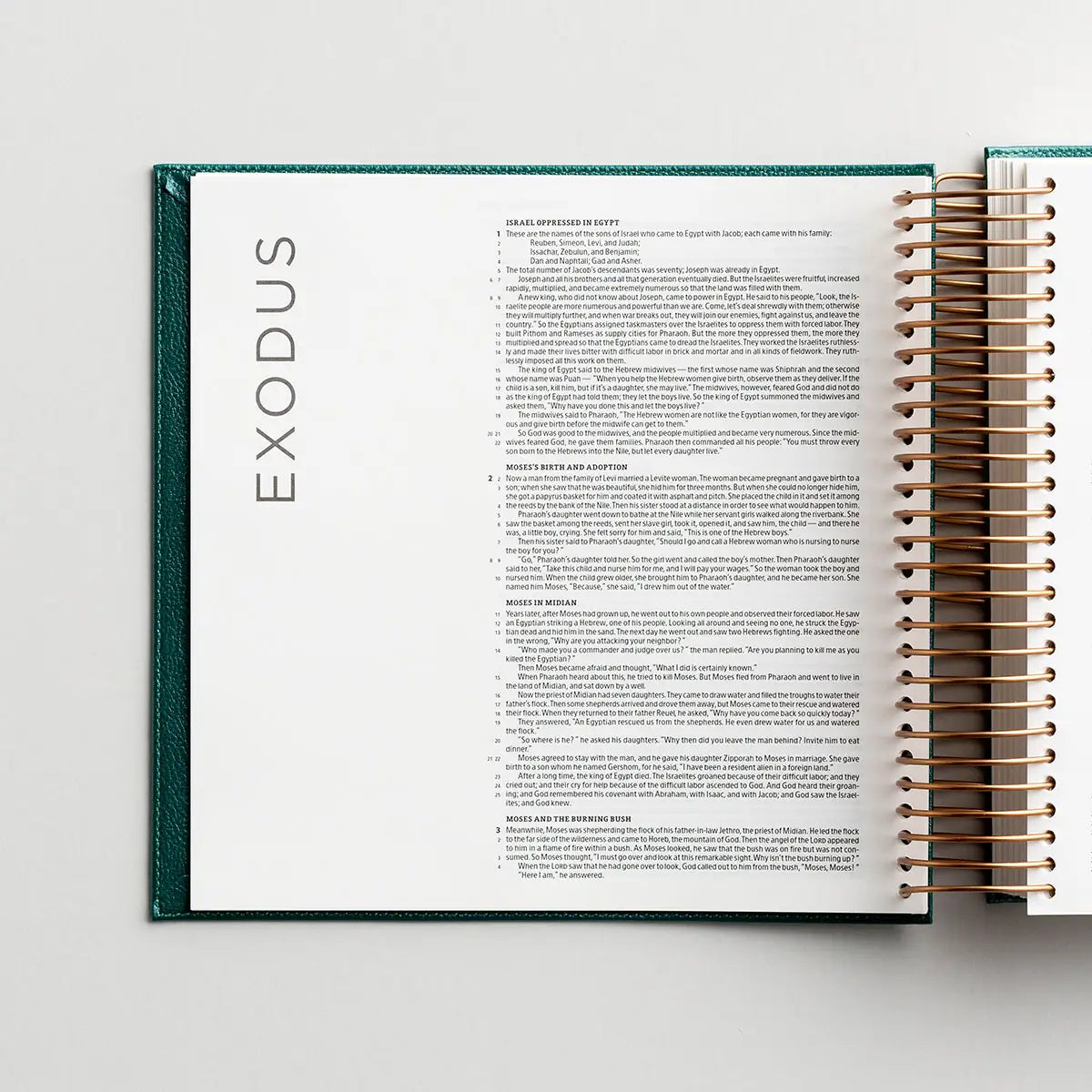 Illustrating Bible | CSB