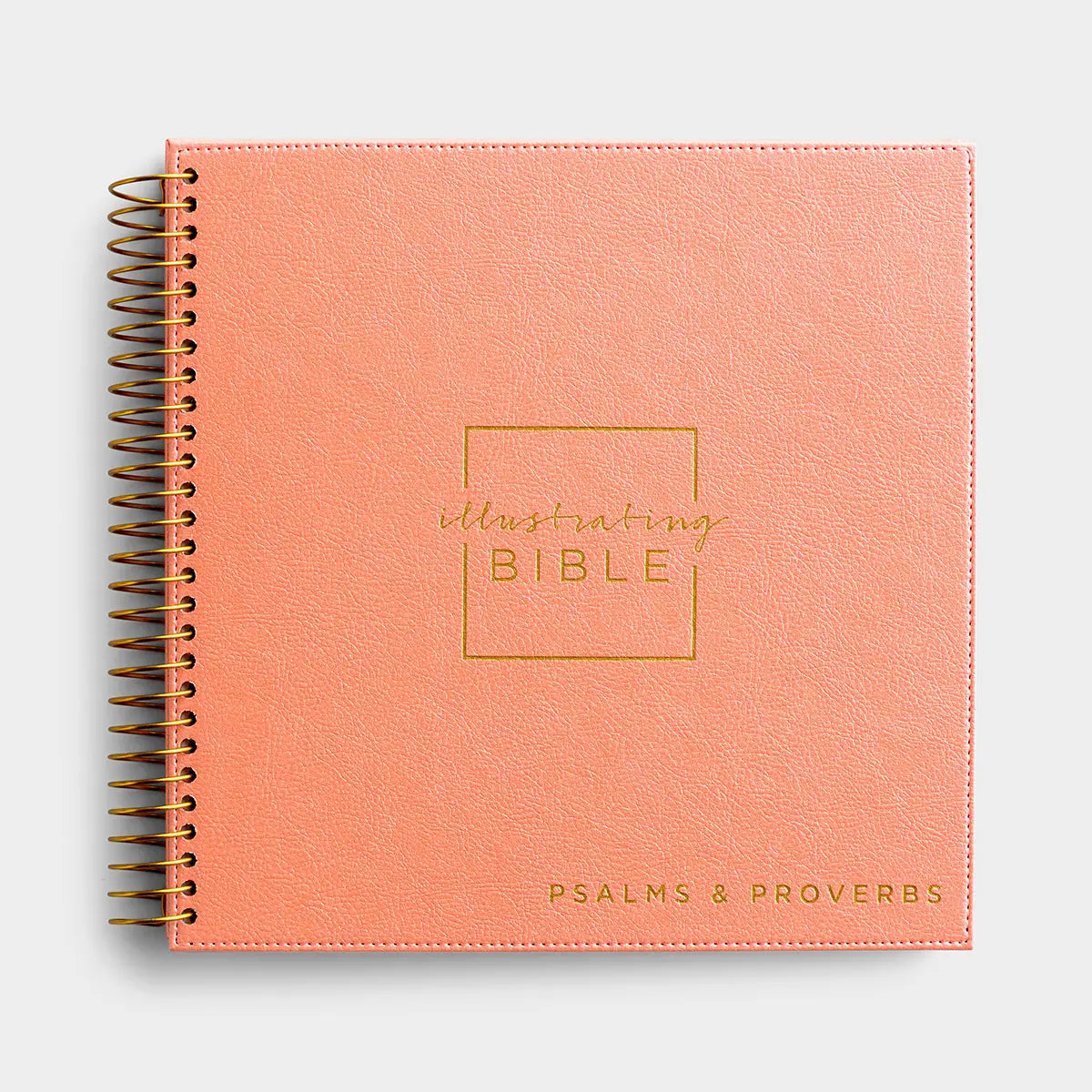 Illustrating Bible | NIV | Psalms & Proverbs