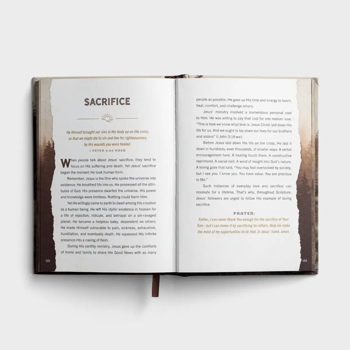 Designed for Greatness | Devotions for Men