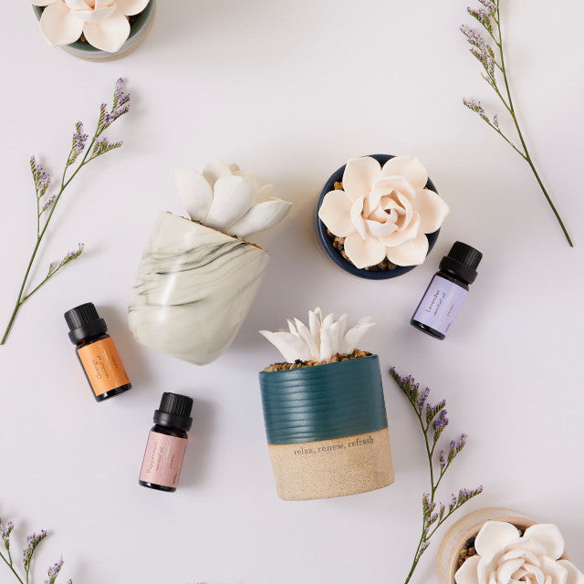 Essential Oil Trio | Well-Being