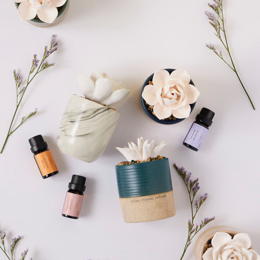 Essential Oil Trio | Well-Being