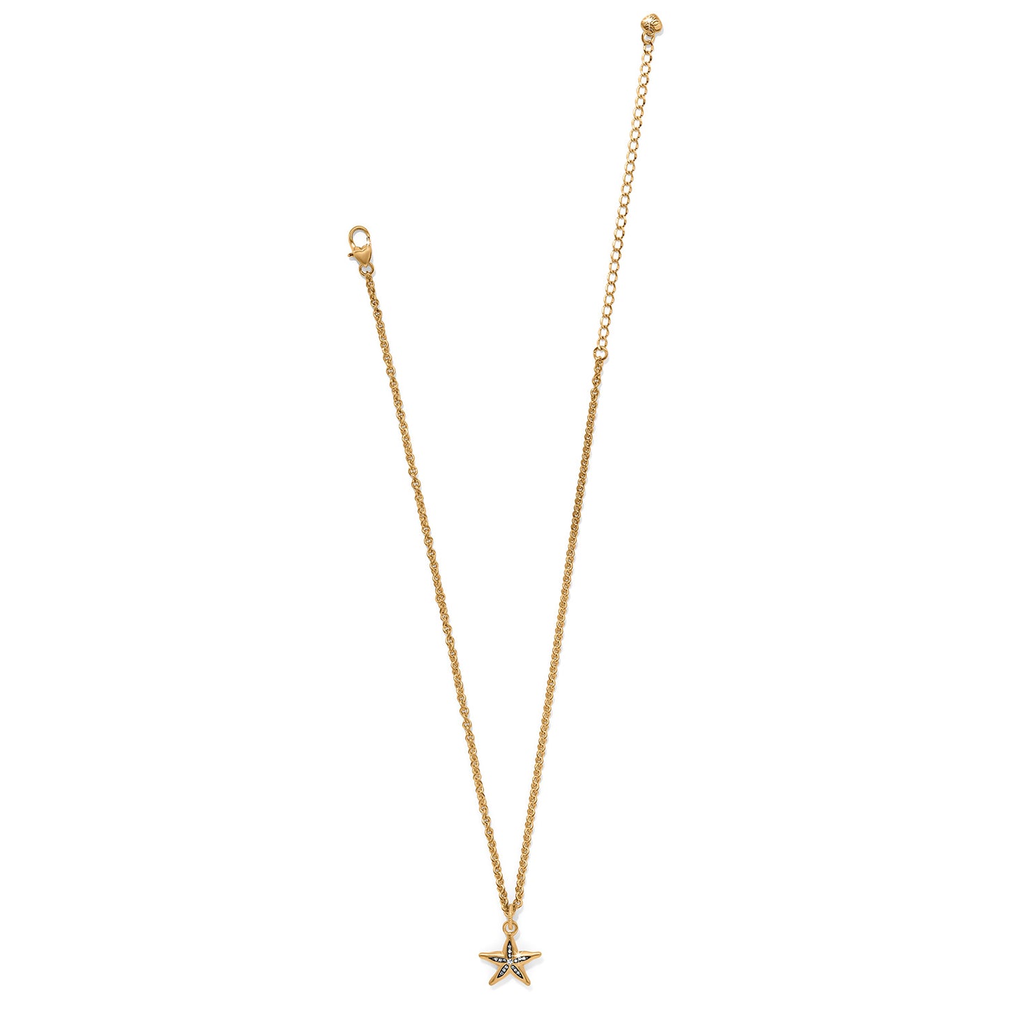 Twilight Water Starfish Necklace