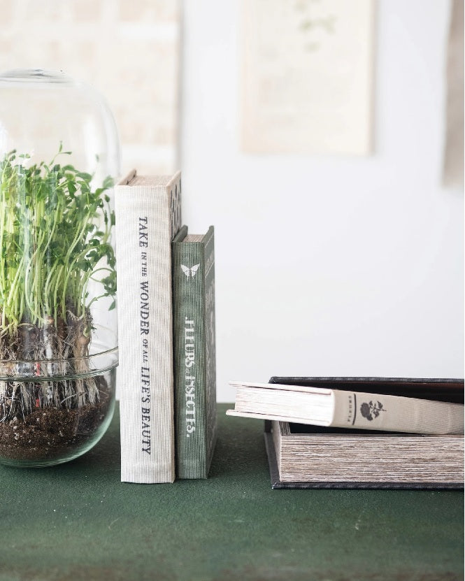 Canvas Book Storage Box