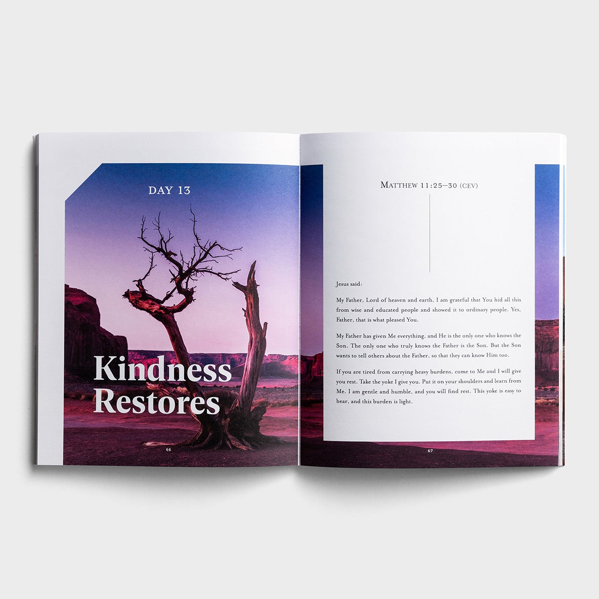 Radical Kindness Devotional