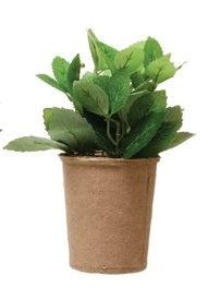Faux Herb in Paper Pot