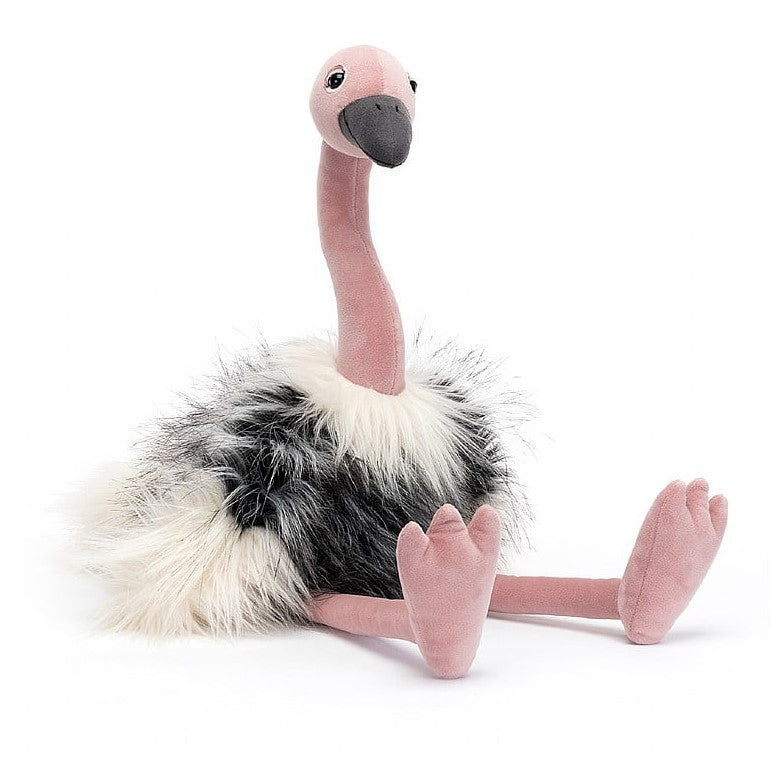 I Am a Ramonda Ostrich
