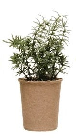 Faux Herb in Paper Pot