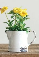 Miniature Pitcher with Flowers