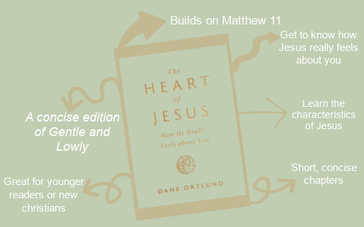 The Heart Of Jesus: How He Really Feels About You | Dane Ortlund
