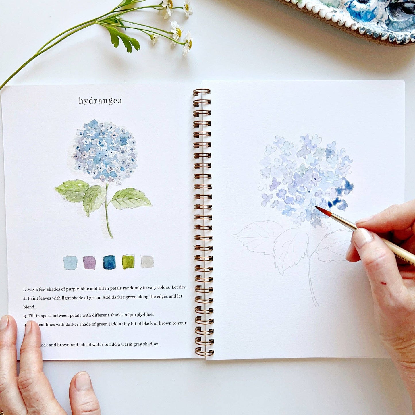 Watercolor Workbook | Flowers