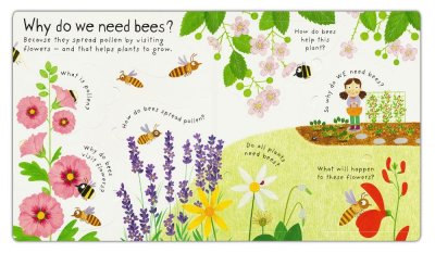 Lift-the-Flap | Why Do We Need Bees?