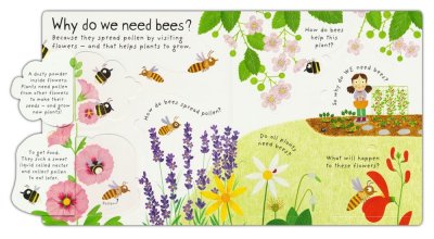 Lift-the-Flap | Why Do We Need Bees?