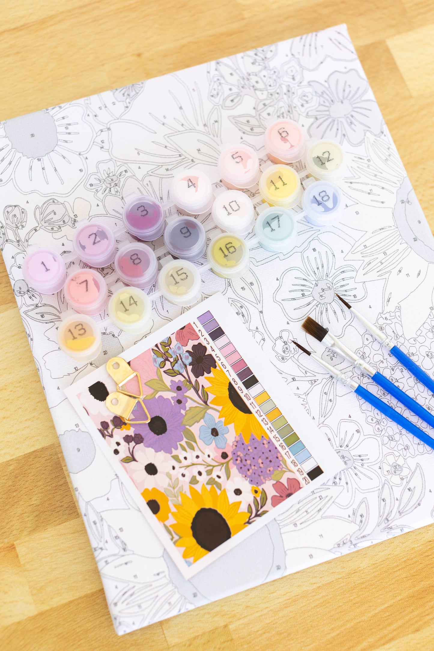 Paint By Number Kit | Rainbow Garden