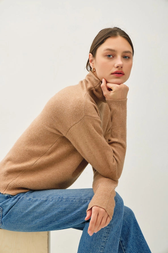 Raw Edge High Turtleneck Sweater