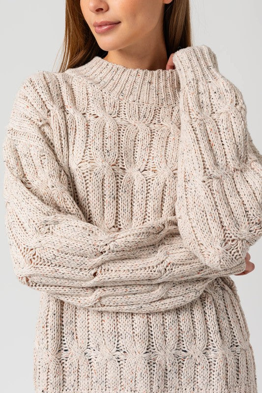 TURTLE NECK CABLE SWEATER