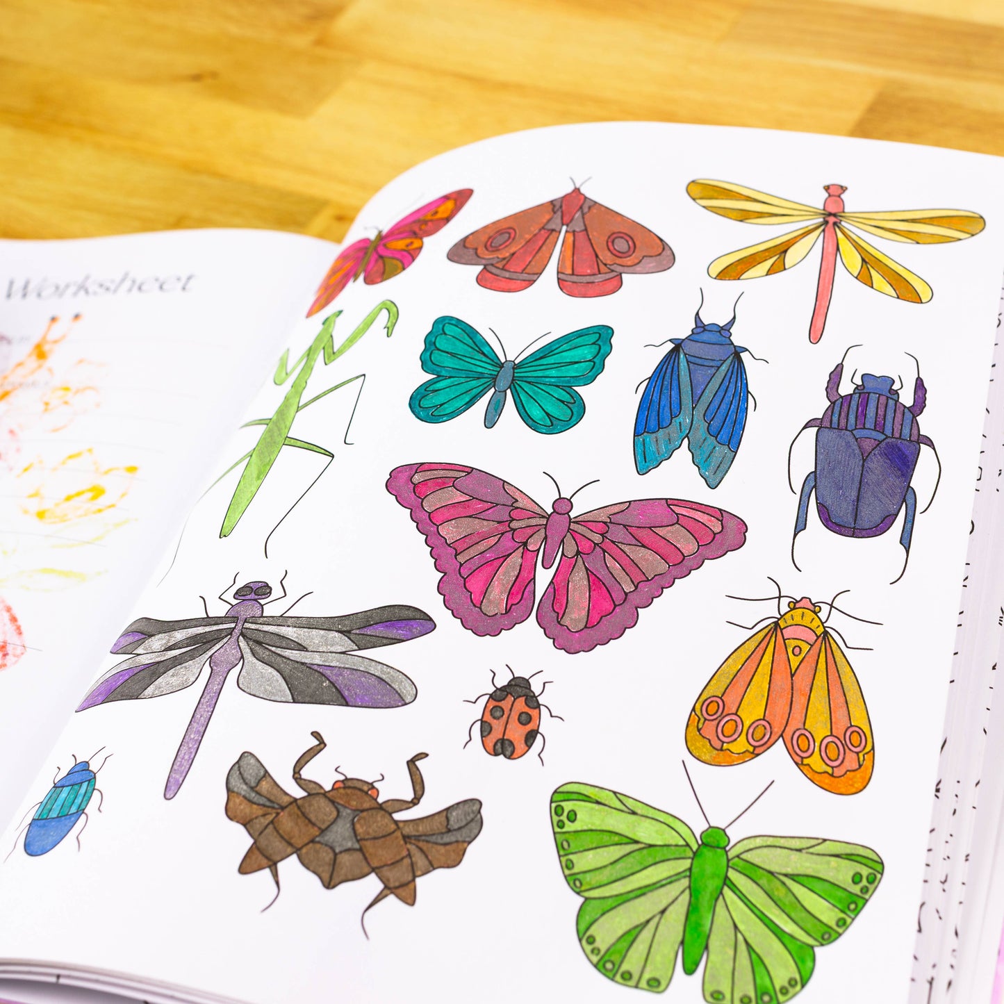 Coloring Book | Garden Avenue