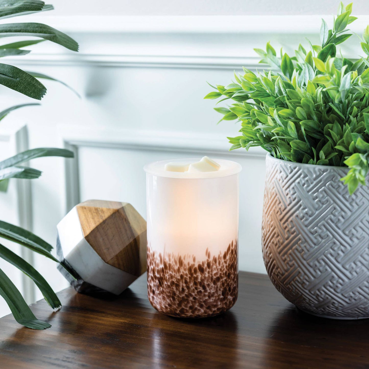 Illumination Warmer | Tiger Shell