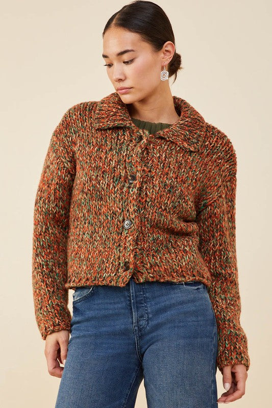 Multicolor Collared Button Sweater Cardigan