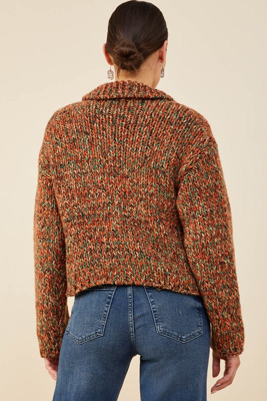 Multicolor Collared Button Sweater Cardigan