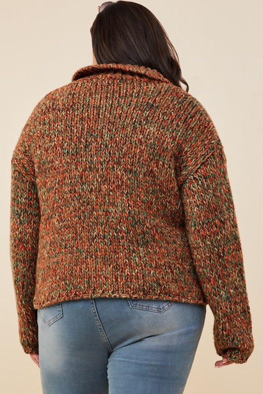 Multicolor Collared Button Sweater Cardigan